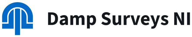 Damp Surveys NI